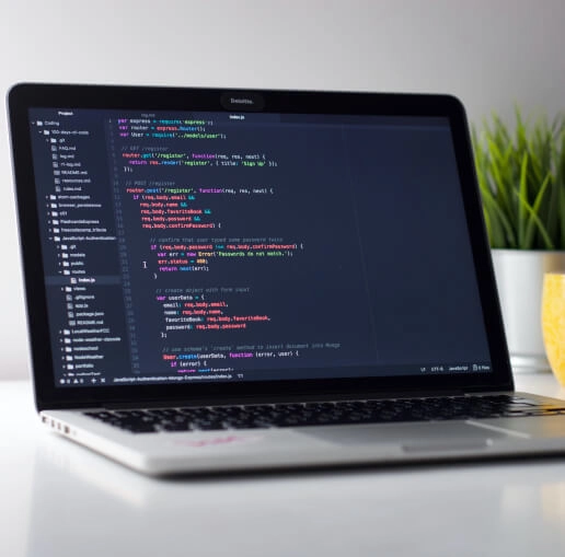 /_next/static/images/customDevelopment-c4f0c5f3f481823dbe6585e962c77443.jpg.webp